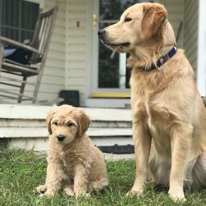 Meet your Posher, Cal